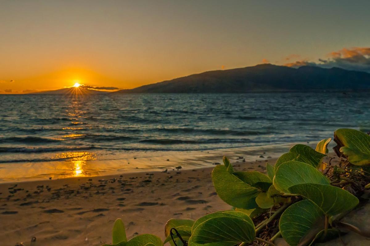 Апартаменти Maui Sunset B-115 Кіхеї Екстер'єр фото